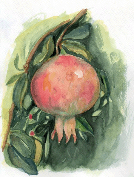 Pomegranate