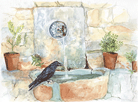 Fountain and Crow